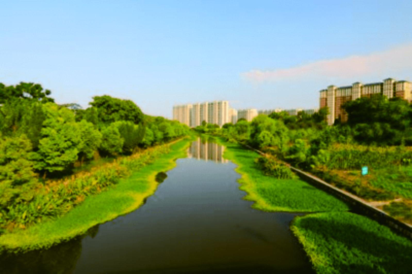 襄城縣循環(huán)經(jīng)濟產(chǎn)業(yè)集聚區(qū)擴容強基遷建、農(nóng)村水系綜合整治工程等項目（EPC）